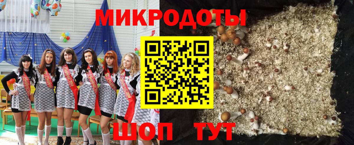 Галлюциногенные грибы Psilocybe Среднеуральск